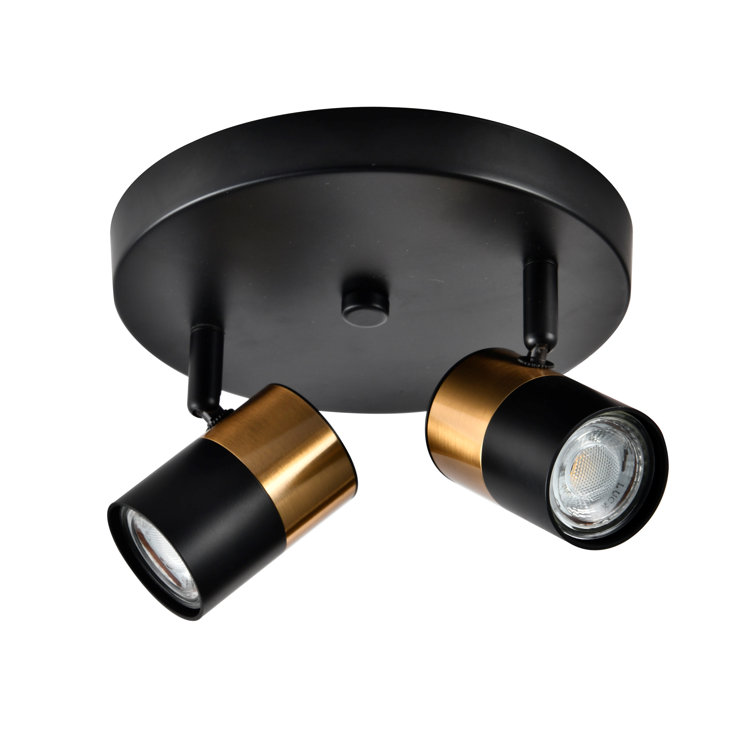 Breakwater Bay Bumble Directional & Spotlight Wayfair